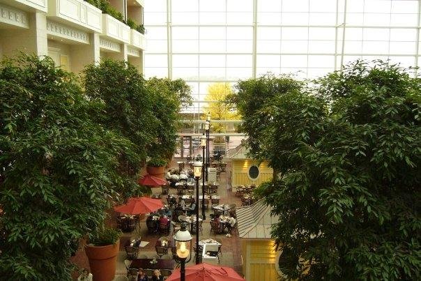 one of 6 restaurants at the hotel