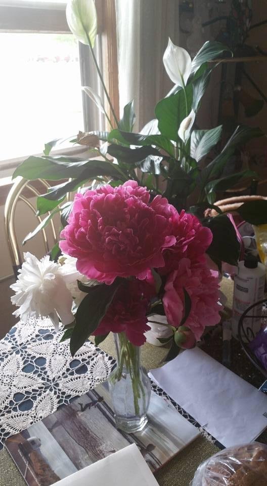 Deborah Christensen's album, Timeline Photos