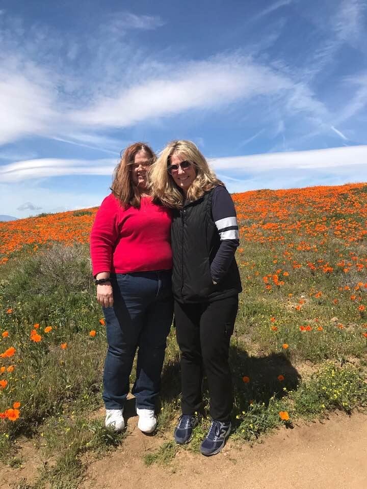 Antelope Valley Poppy bloom! Beautiful!