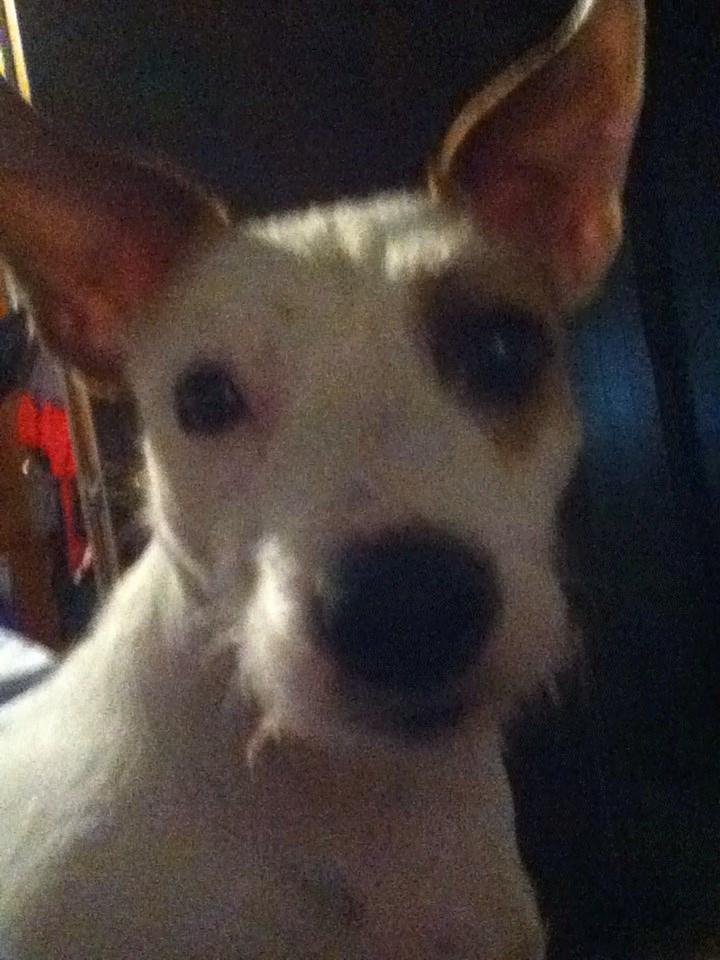 My lil baby girl