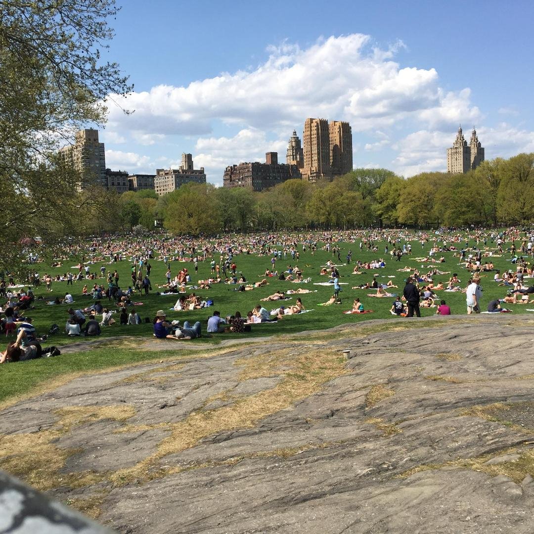 Sunday in Central Park.
