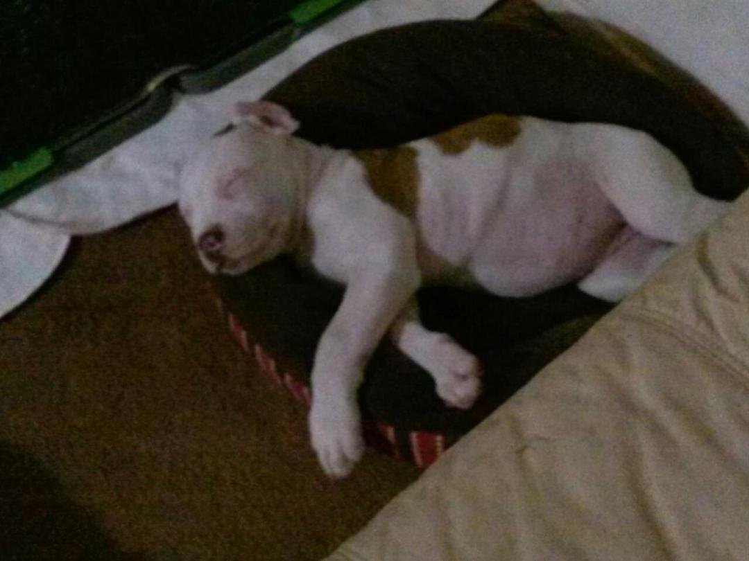 New baby taking a break