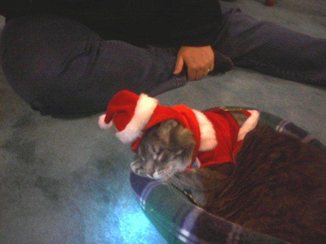 Storm saying no I'm not moving with this on before he past away