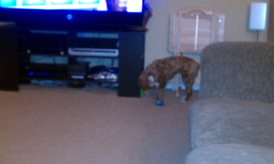I returned my toys can I ha e a new one