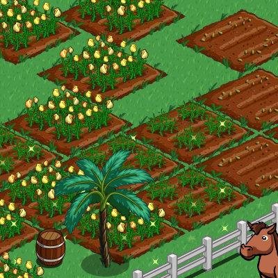 ron's farm