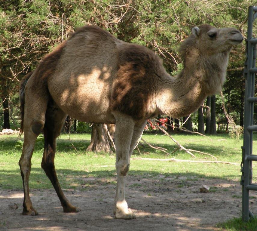 Guess what day it is?