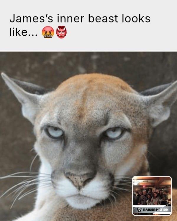 Not a kitty cat!!!!