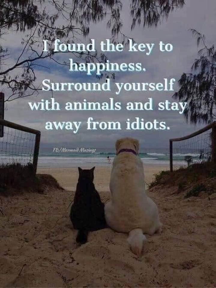 Robert Luchi's album, Timeline Photos