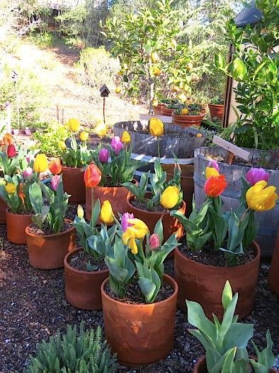 Steve Robinson's album, Timeline Photos