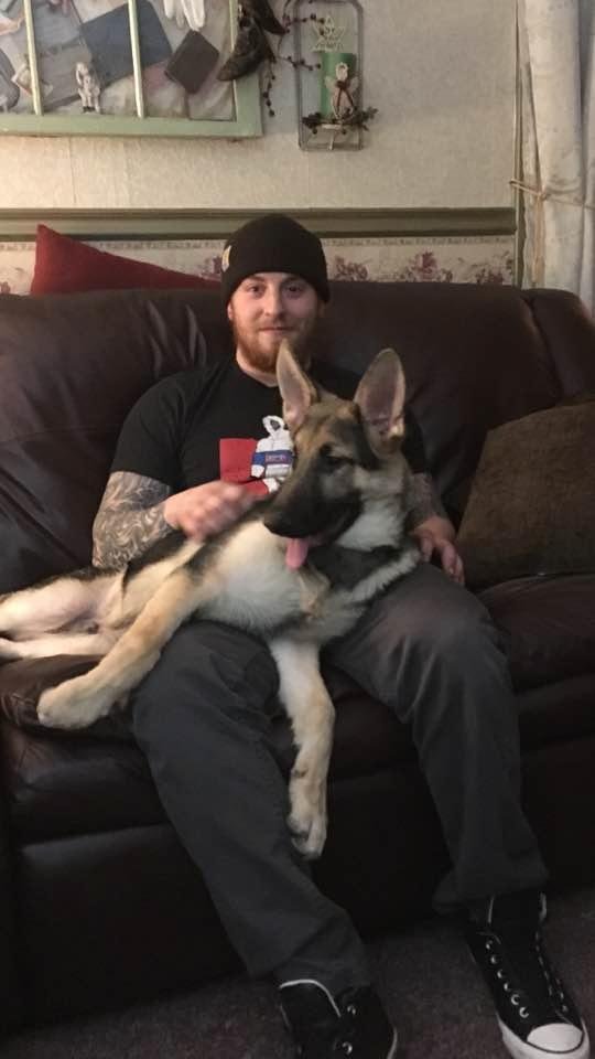 My munchkin and Krieg