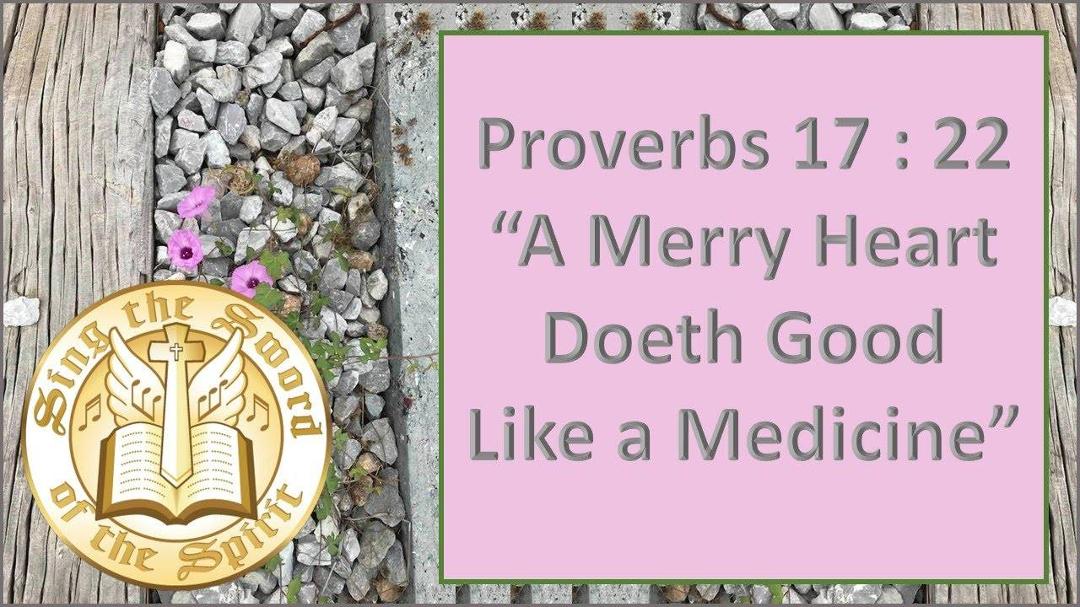 Proverbs 17:22 "Food For Thought"
King James Version
A merry heart doeth good like a medicine: but a broken spirit drieth the bones.