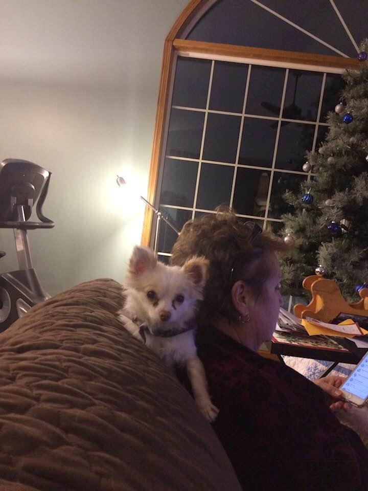 Peanut wishes everyone a very Healthy and Happy New Year!