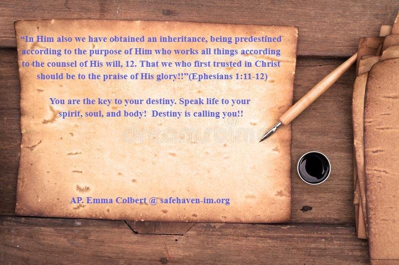 Emma Colbert's album, Timeline photos