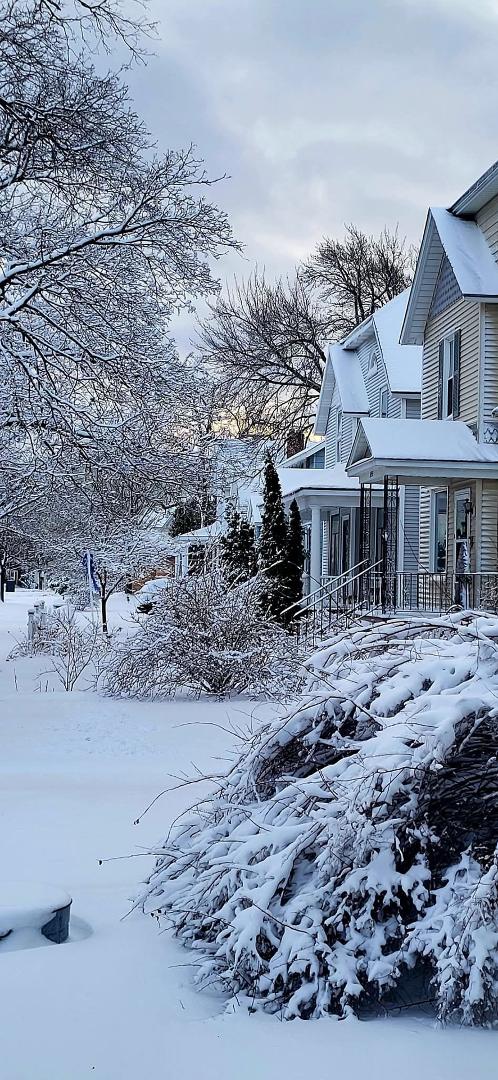 "No winter lasts forever, no spring skips its turn." (HAL BORLAND)

Happy 1st Day of Spring Everyone! 🪺🌷❄️

"He has made everything beautiful in its time. He has also set eternity in the human heart; yet no one can fathom