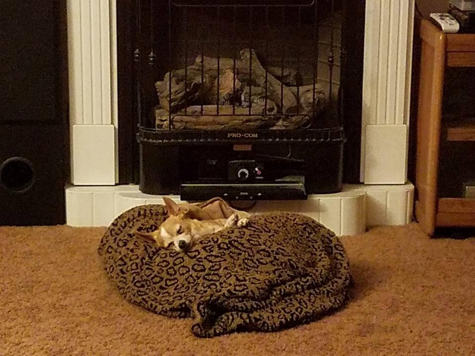 Big boy's happy to be home