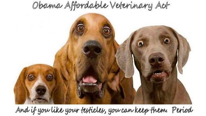 Affordable vet care act 'AVCA'