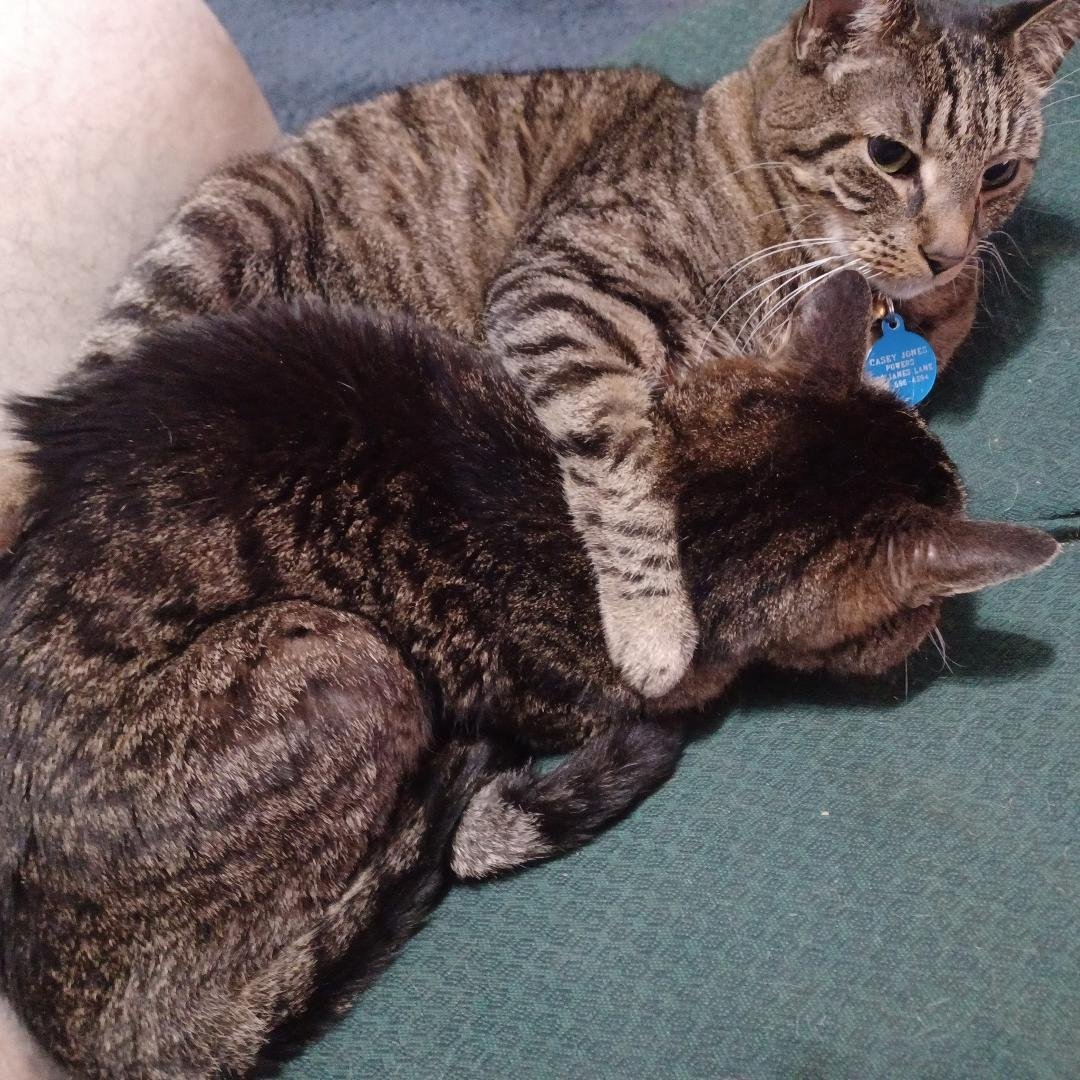 Old friends
