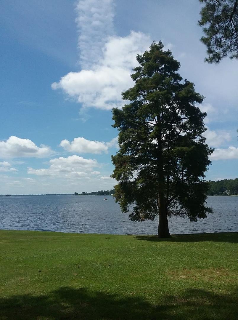 Carol Denison, Sylvia Swain and me took a ride to Bath, NC.  Cute little village on the water.  The first incorporated town in NC.  Inc 1705.  Once home of Edward Teach, AKA Blackbeard.