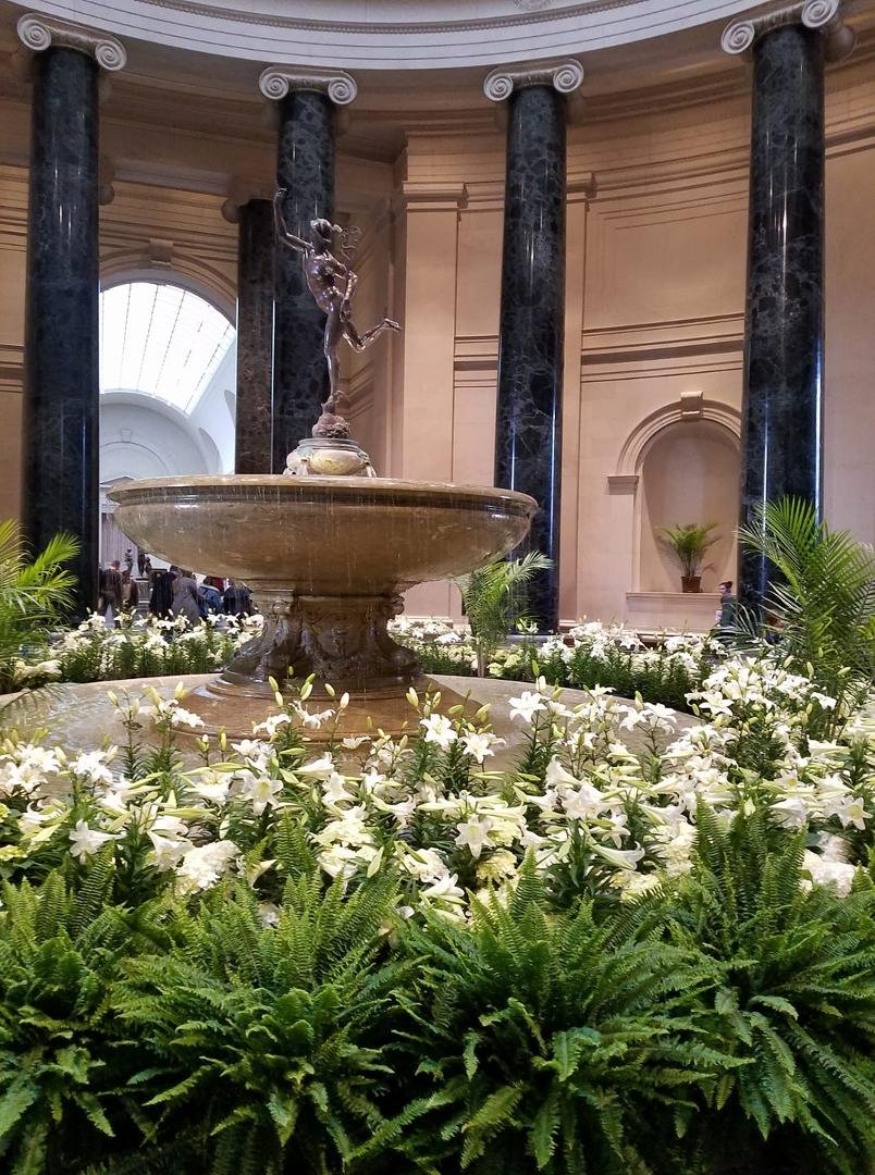 Went to national museum of art for the opening of Cezanne exhibit . Crowded forgot it is spring break !
