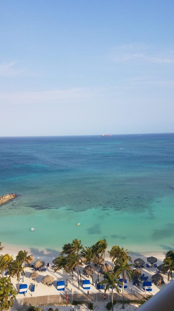 Sorry to all of you that has snow. Here is my current situation.