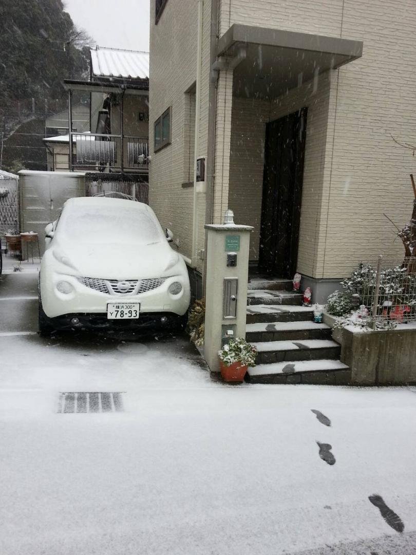 Finally got a little snow!