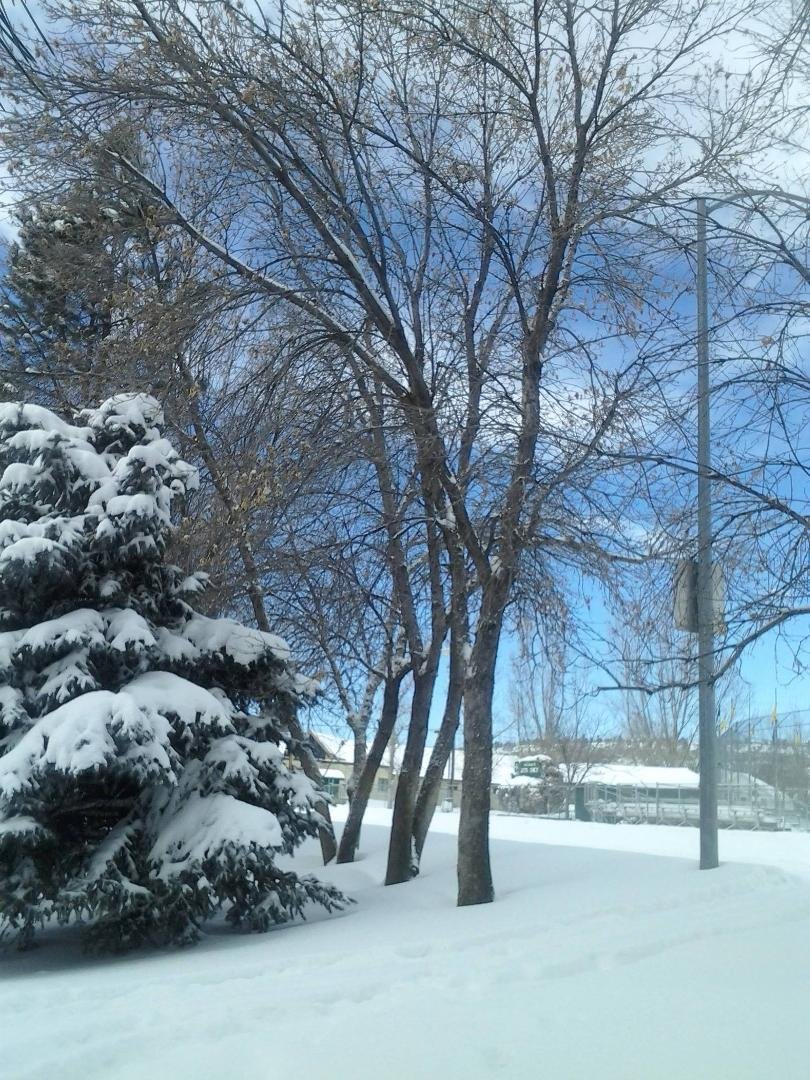 Gerald Decker's album, Timeline Photos