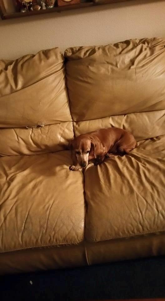 One of my babies