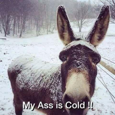 John Walker's album, Timeline Photos