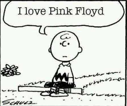 David Witt's album, Timeline Photos