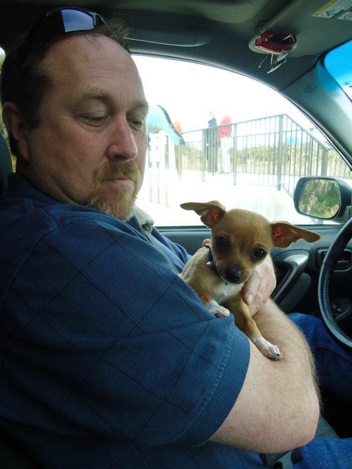 Seriously thinking of changing Jasper's name to ..Stop, Dont or No. Maybe even ..Don't Poop in the House