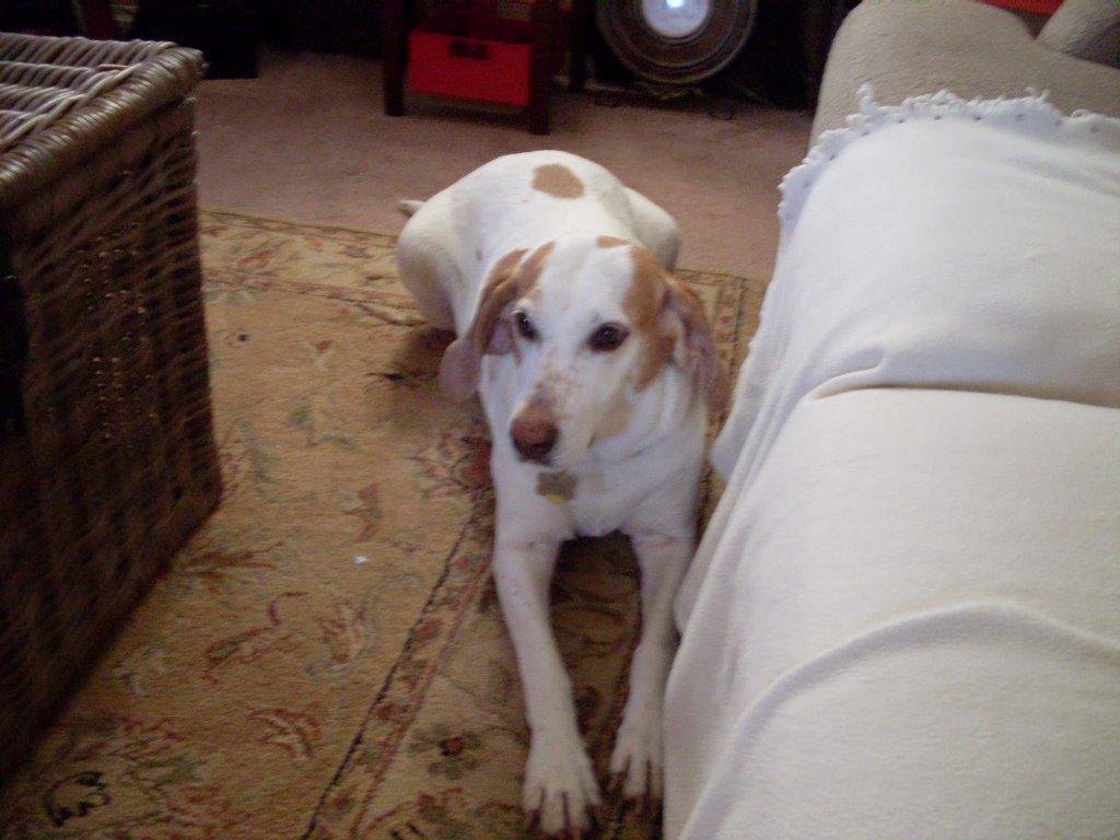 Maggie just chilling