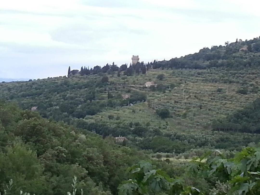 View from the house in Tuscany. ..awesome