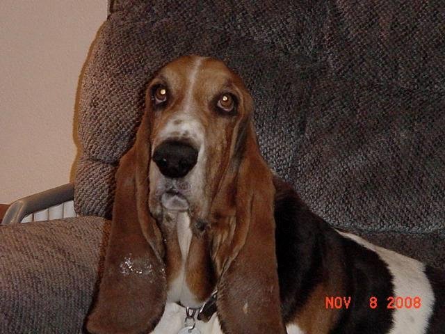 Marilee Epperson's album, Timeline Photos