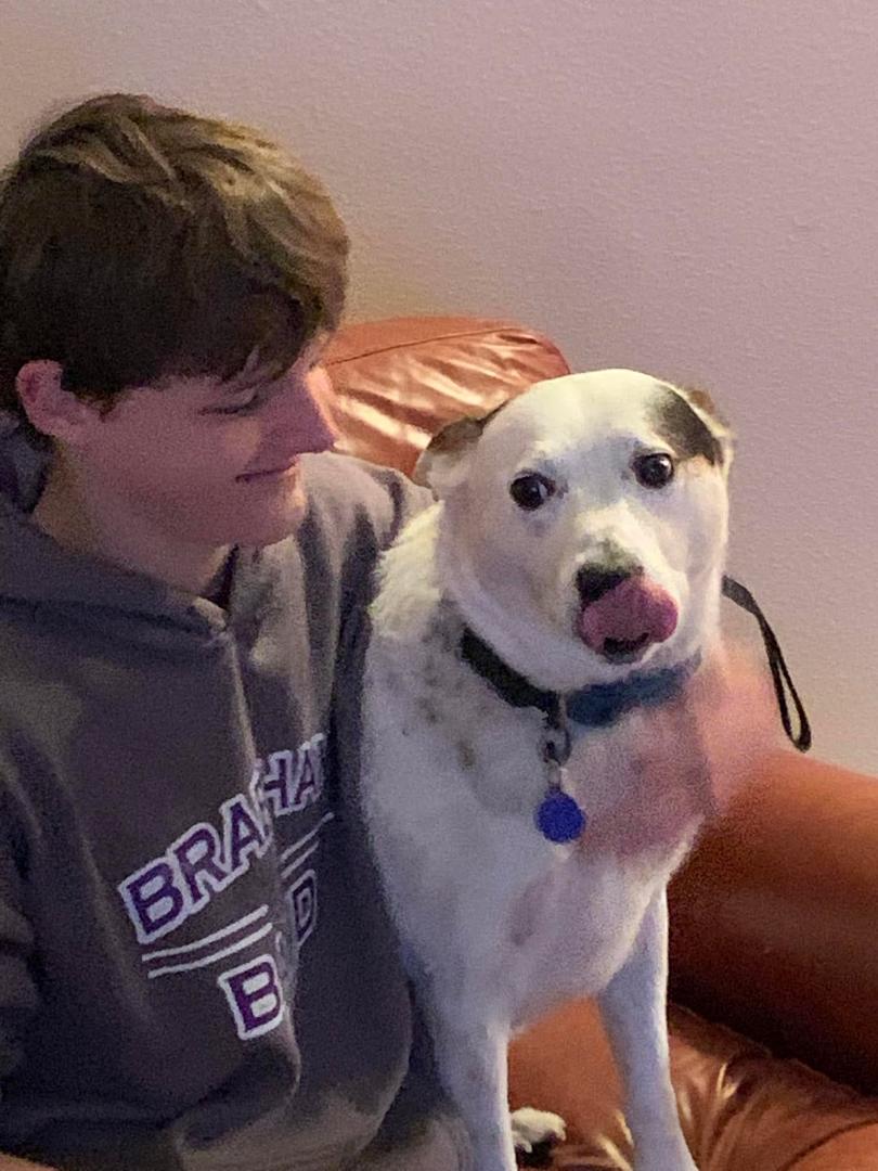 My two grandsons, Sean and Scooter! ❤️❤️❤️