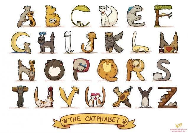 For cat lovers everywhere?