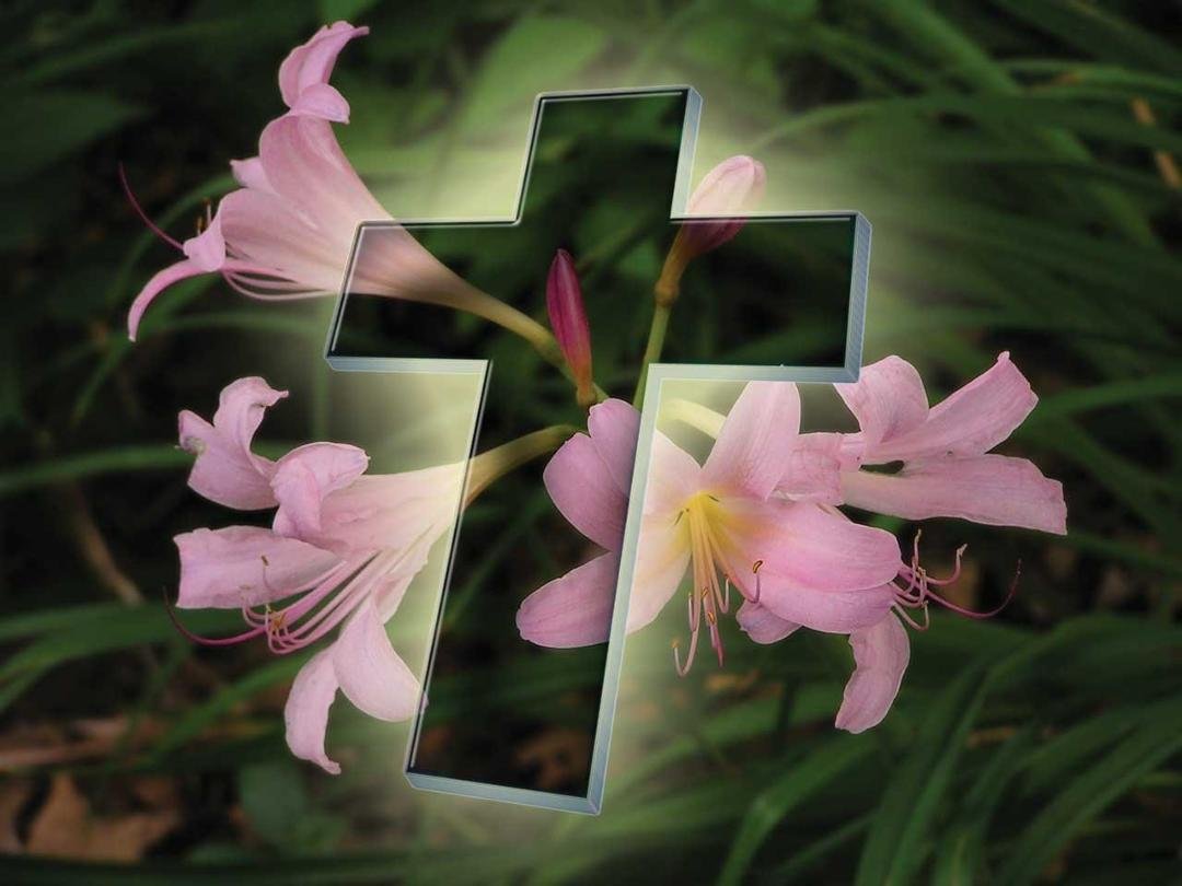 Happy Easter to Family and all my Facebook Friends!