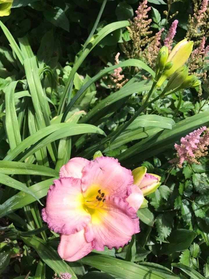 Connie Schwein's album, Mobile Uploads