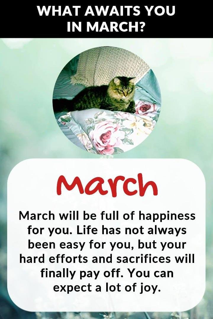 Sandra Niemeier's album, Timeline photos