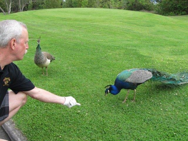 Rob feeding our new friends