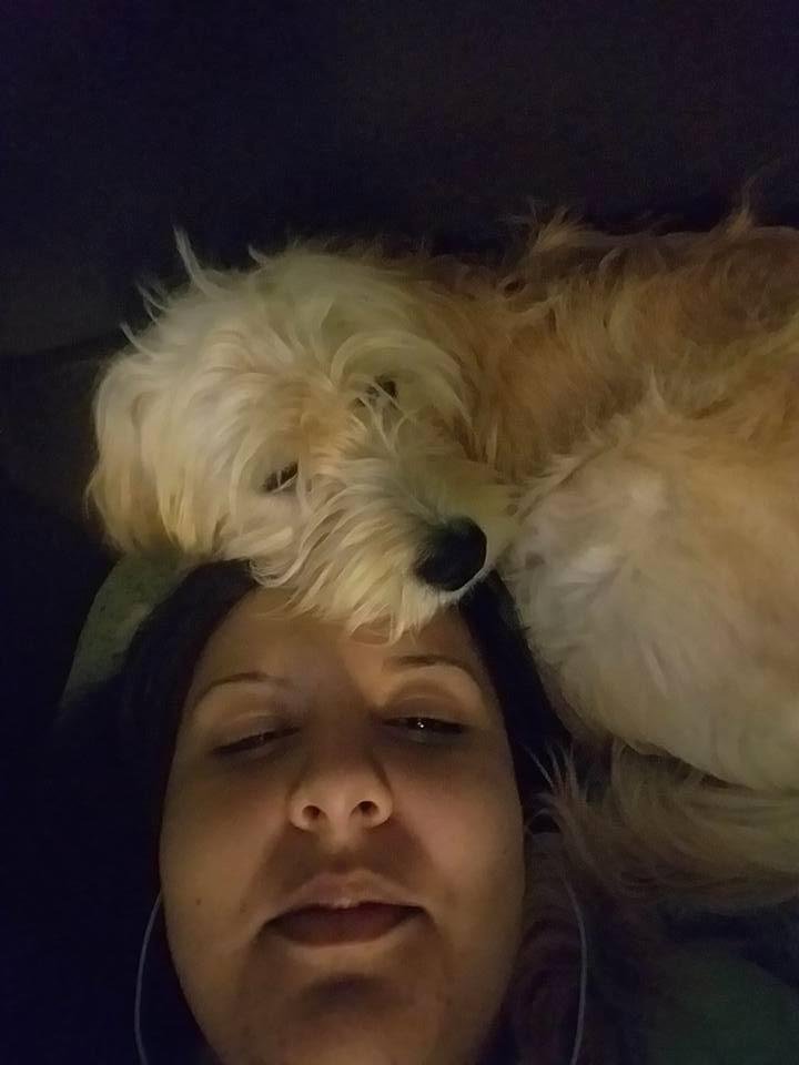 So proud of my Zayla doodle. It is hard work training a service dog. We started training back in November and still have a long long way to go. It's exciting because we are seeing some of the rewards of our labor. 

She kno