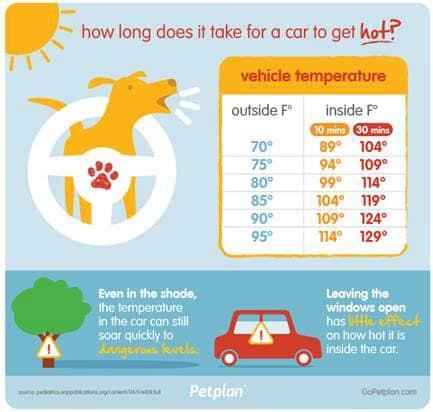In Maryland, it’s against the law!!! Dial 911 should you see an animal in a hot car!