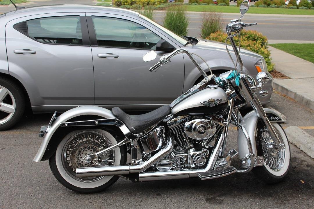 Is there enough chrome on this hog or does he need more?