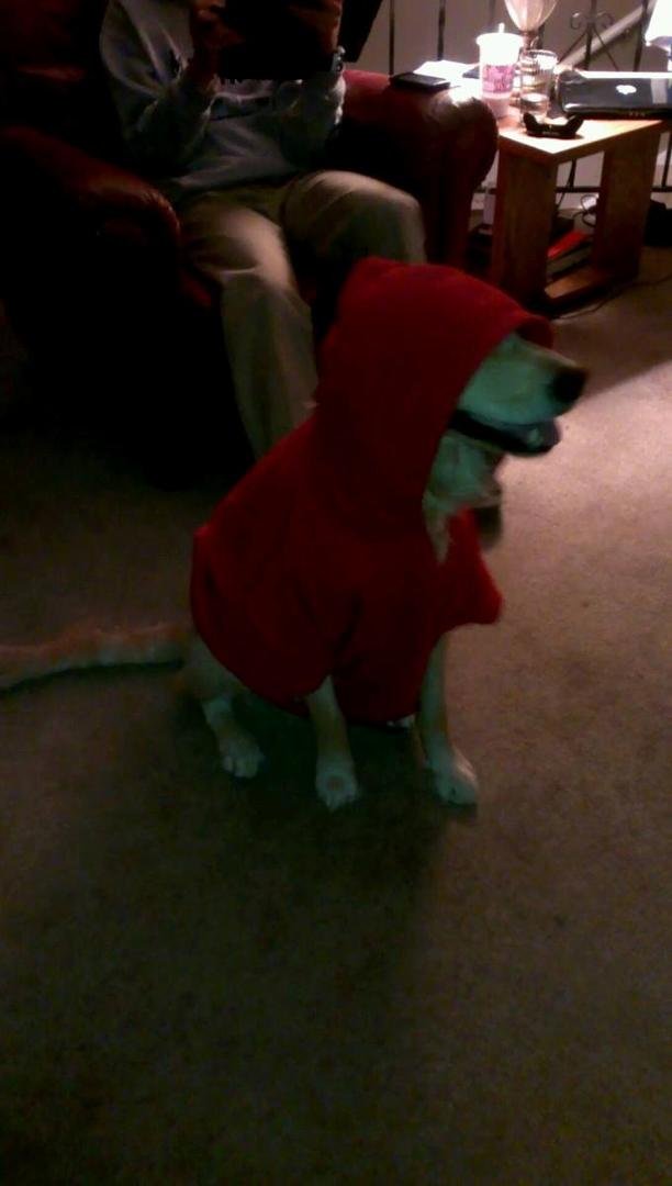 Fisher trying to be a Kennedy Lancer!
