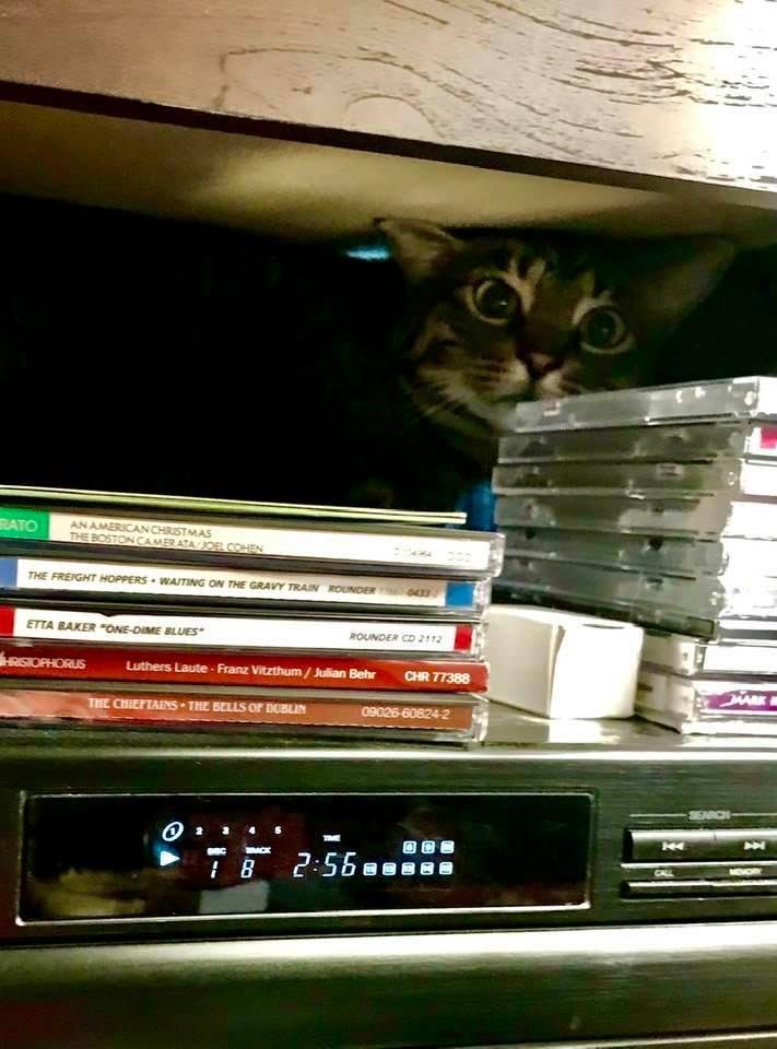 Eddie is a connoisseur of music.