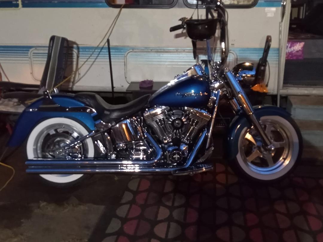My bike with a sissy bar! Gay as f__k!