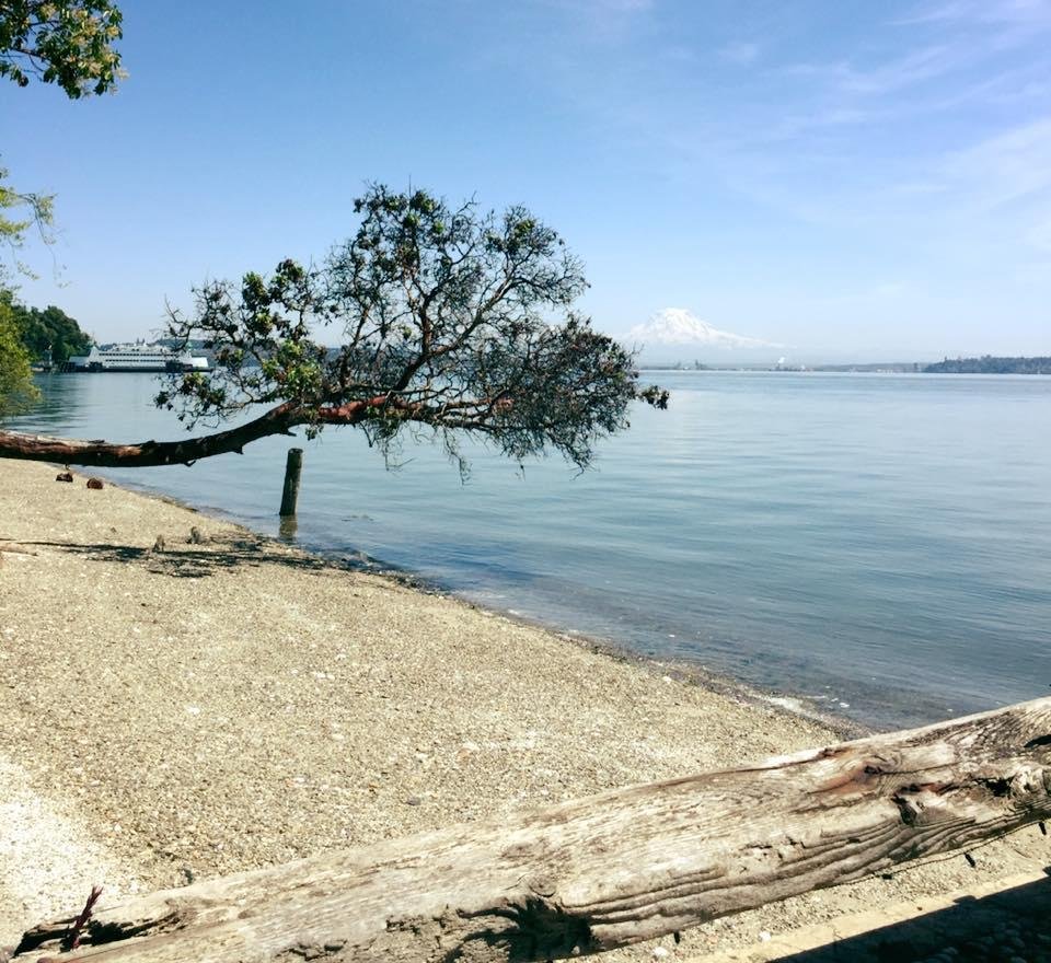 Picked perfect day for a Vashon beach outing. (We see Rainier much bigger and brighter thN this would suggest 
The ferry too...
