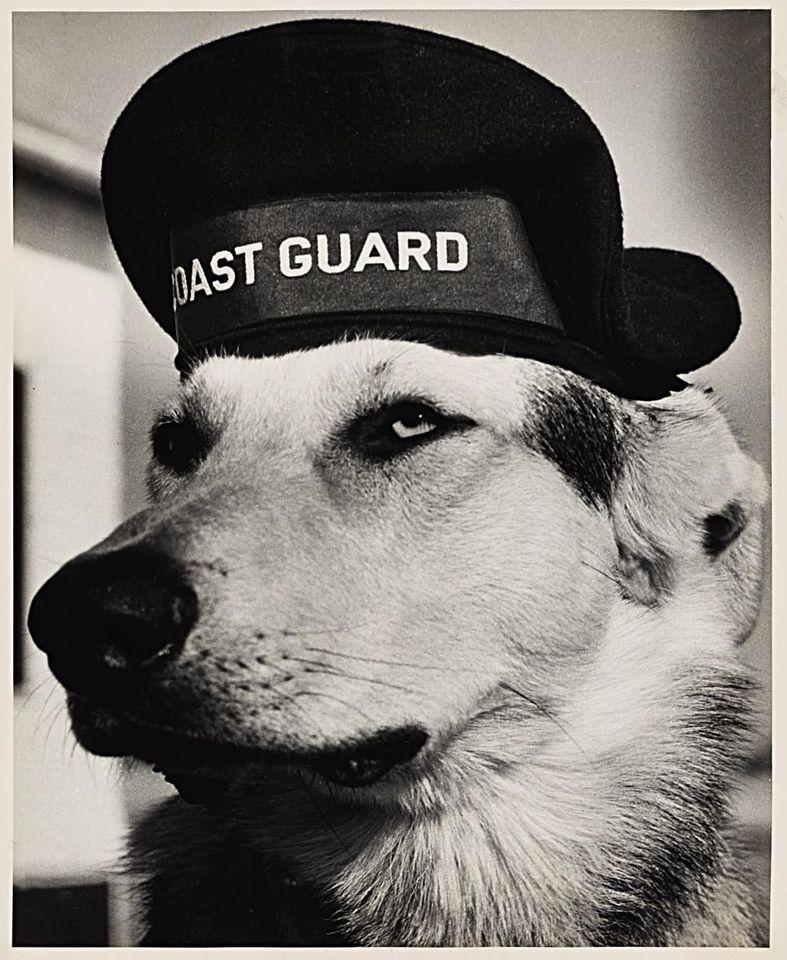 And remember our heroes in fur.