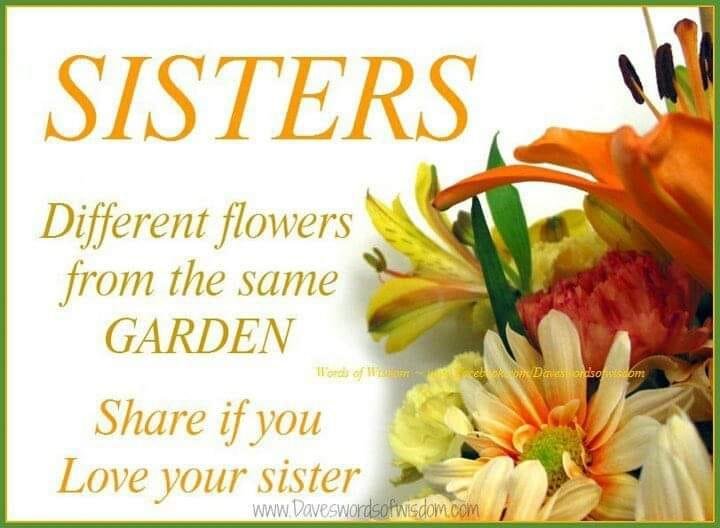 This is great! And I do love my sister.