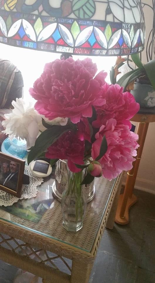 Deborah Christensen's album, Timeline Photos