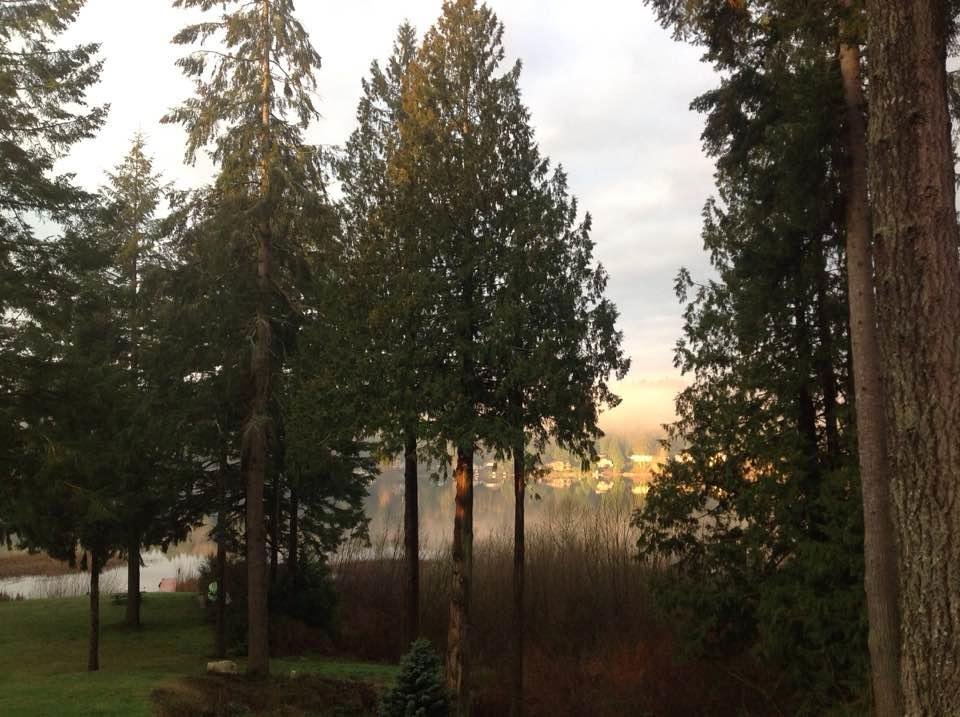Peaceful Christmas morning !